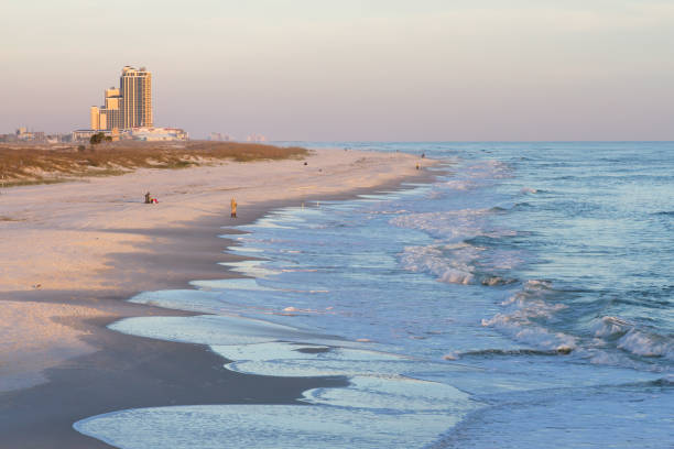 istock Alamama Gulf Coast Beach Fishing 665259878