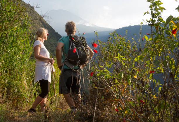 istock View past flowers to explorers admiring landscape 665267785