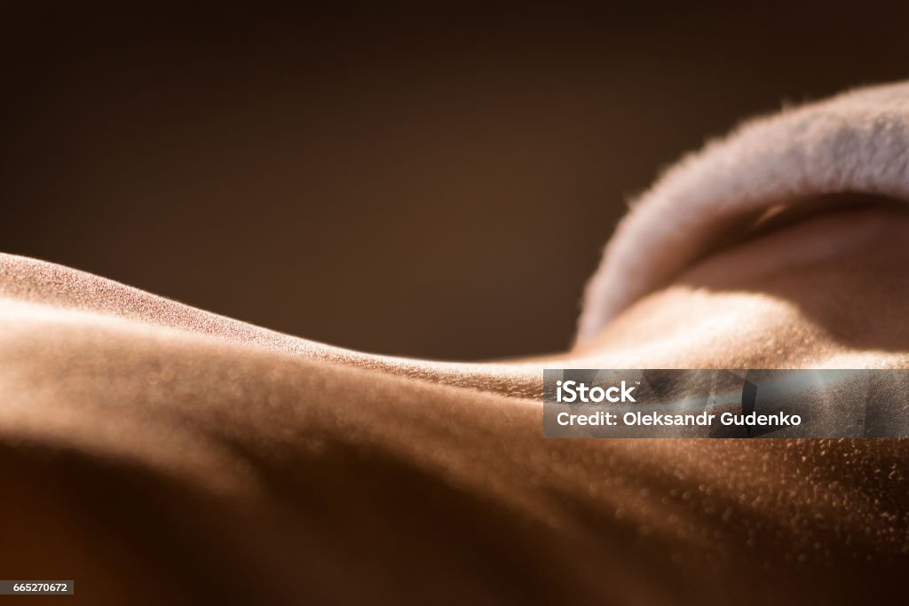 Closeup of girl's back before massage Closeup of young girl's back before massage Sensuality Stock Photo