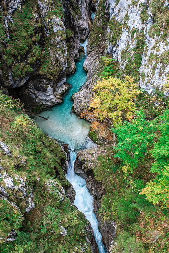 Leutaschklamm - wild gorge with river in the alps of Austria