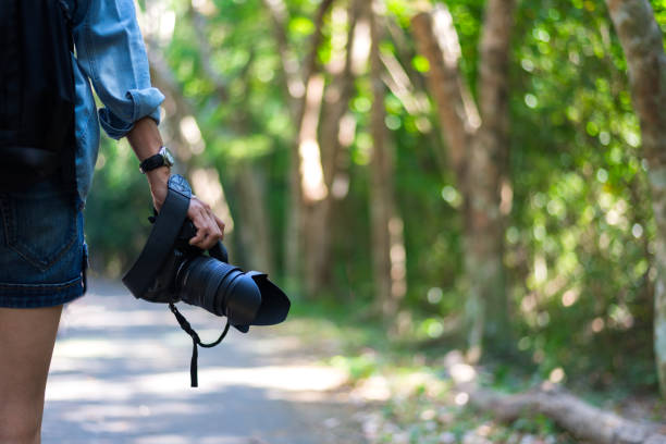 istock Travel woman hand holding camera 665281112
