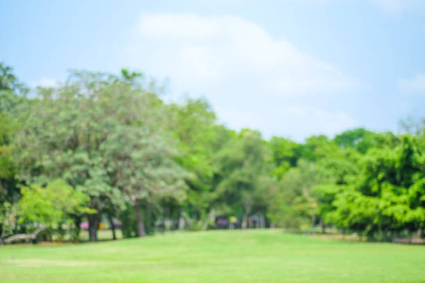 istock Blur park and blue sky background, spring and summer, natural 665291518