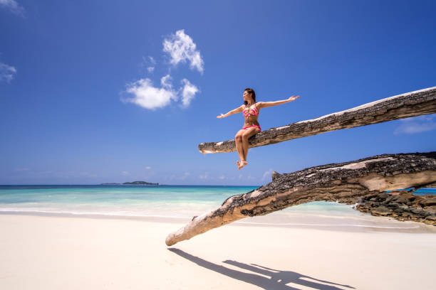 istock Carefree woman relaxing on a tree at the beach. 665315048