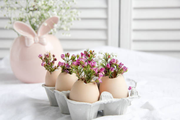 Easter decor - Flowers in eggshells Easter decor - fresh beautiful Flowers in eggshells eggshell stock pictures, royalty-free photos & images