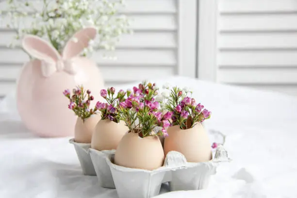 Easter decor - fresh beautiful Flowers in eggshells