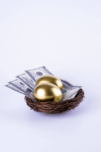 istock Golden egg and dollars 665333282