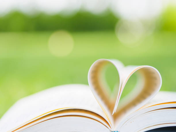 istock book on table in garden with top one opened and pages forming heart shape 665333510