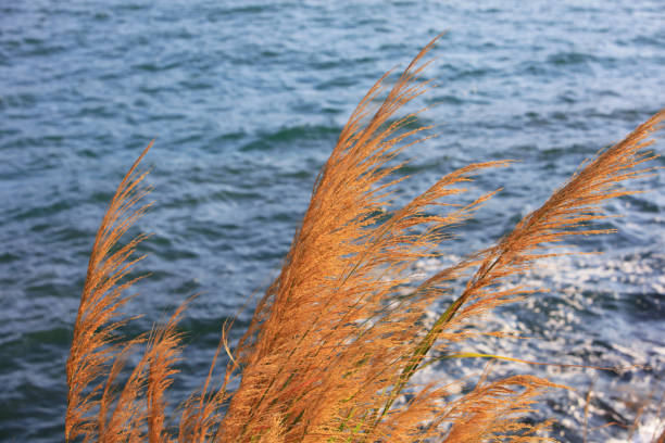 the  Sea beach landscape and blue sea