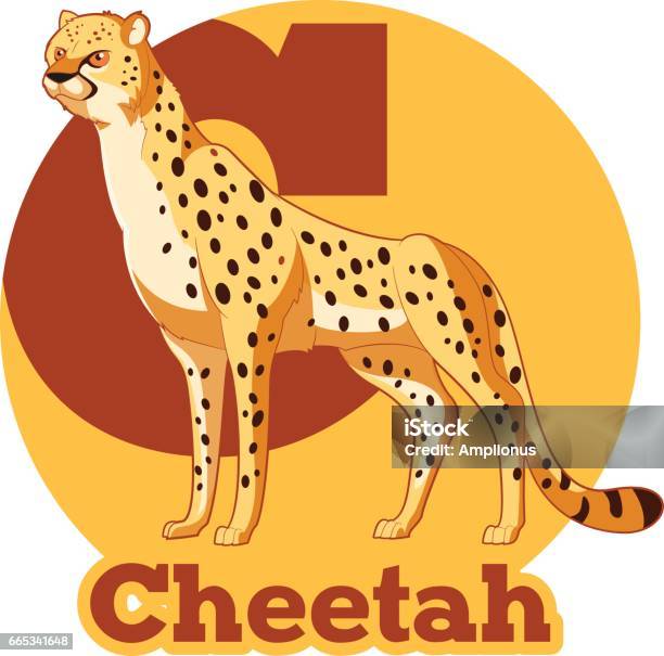 Abc Cartoon Cheetah Stock Illustration - Download Image Now - Cartoon,  Computer Graphic, Drawing - Art Product - iStock