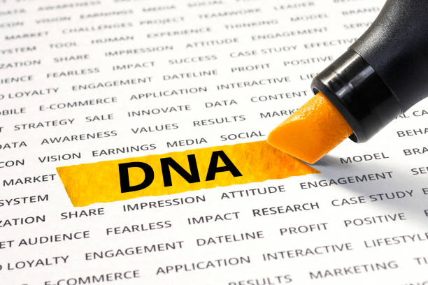 istock DNA word highlighted with marker on other related words. 665344498
