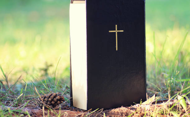 istock book with cross in nature 665346436