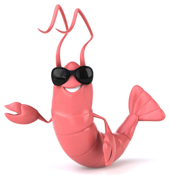 Fun Shrimp 237,400+ Prawn Image Stock Photos, Pictures & Royalty-Free Images - iStock