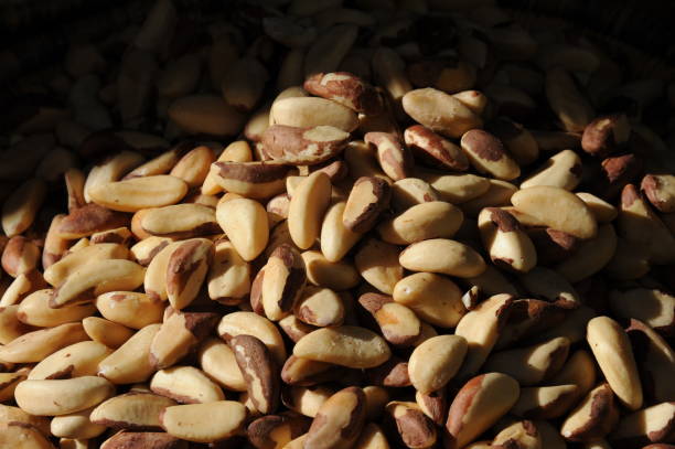 istock Weekly market in Spain - pistachios/walnuts 665361072