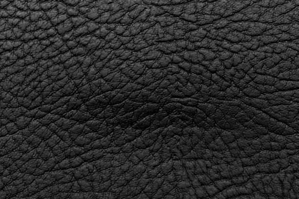 istock Background of black leather 665364612