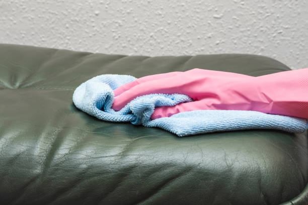 istock Leather sofa cleaning with rag. Upholstered furniture. Early spring cleaning or regular clean up. 665366714