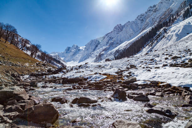 istock Water stream flows down from Himalayan Mountains near Sonmarg 665373008