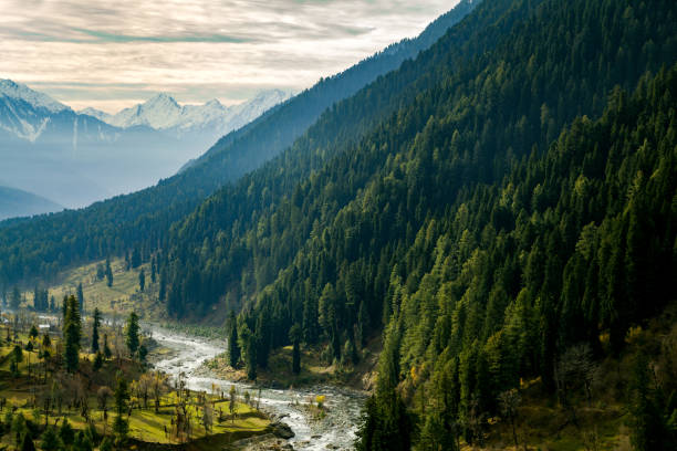 istock A himalayan river passing through Aru Valley near Pahalgam 665376620