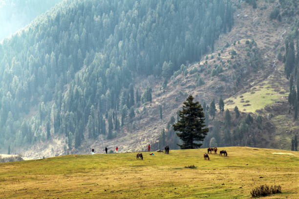 istock Tourists at Aru Valley 665376734