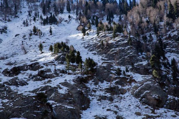 istock Himalaya Mountain Rocks - partially covered with Snow 665376950