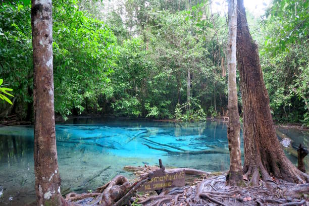 istock hot but very clear and blue water, hot spring 665379522
