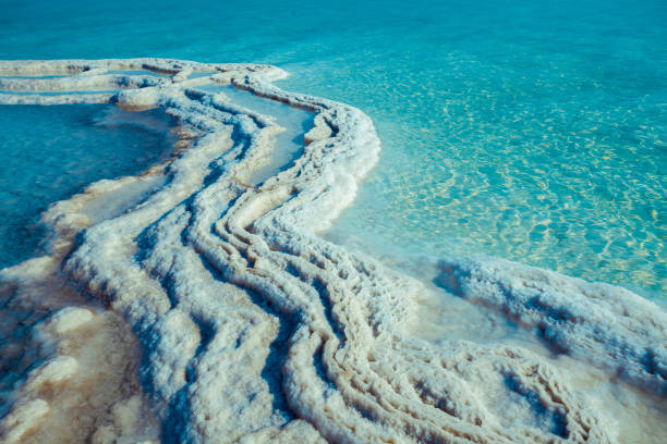 istock Texture of Dead sea. Salt sea shore 665380192