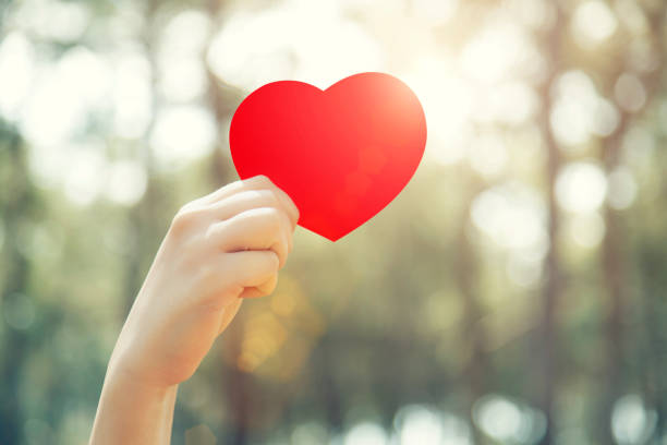 istock Woman hands holding red heart 665381160