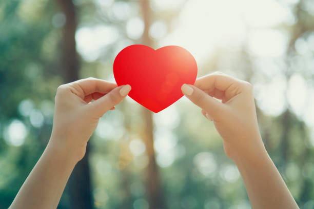 istock Woman hands holding red heart 665381168