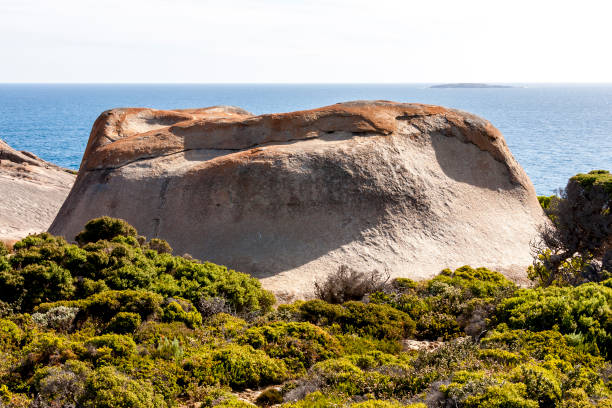 리마커블 록스, 캥거루 아일랜드, 호주 - kangaroo island australia south australia weathered 뉴스 사진 이미지