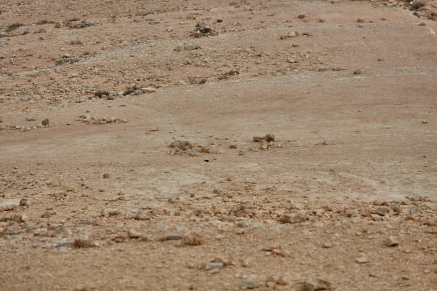 The view in the Negev desert, IsraelA mountain view in the Negev desert, Israel