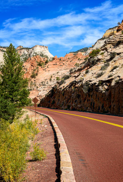 istock Zion National Park, USA. 665390376