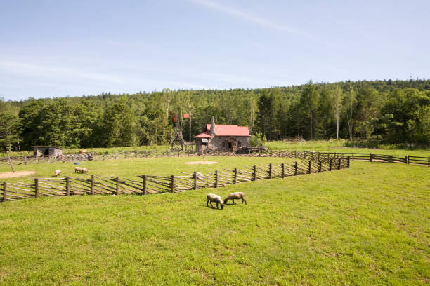 Filming from the north country