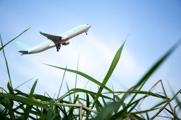 istock Plane flying over blue sky and green grass 665398588