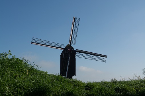 Old windmill in Netherlands, spring season, blossom tree