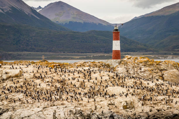 istock Lighthouse in The End of The World 665407244