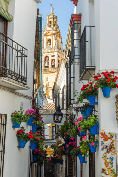 istock Calleja de las Flores in Cordoba, Spain 665418088