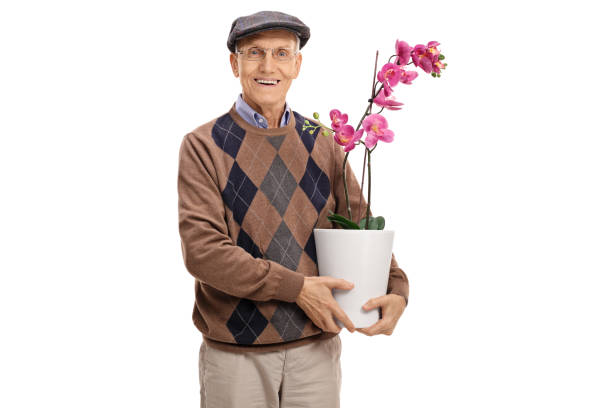 istock Senior with an orchid flower in a pot 665427678