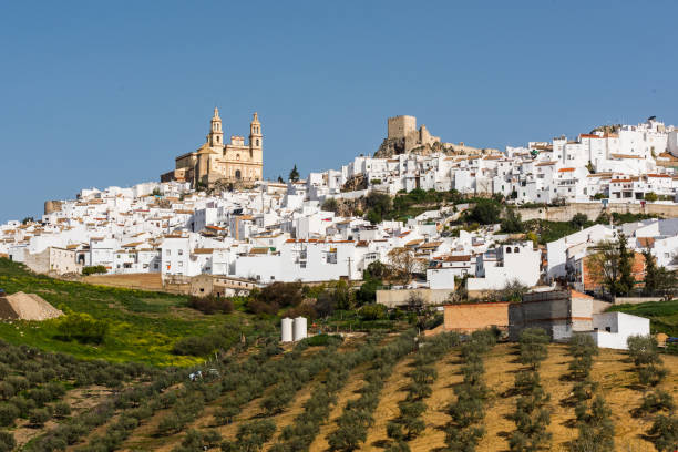 istock Olvera in Cadiz province, Spain 665428290