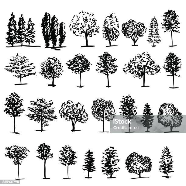 Trees Graphic Hand Drawn Vector Engraving Doodle Sketch Isolated On White Background Vintage Style Template For Design Pattern Collection Of Brush Printing Elements Package Eco Product Stock Illustration - Download Image Now