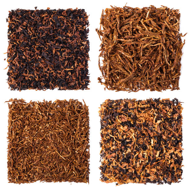 istock dried smoking tobacco 665448770