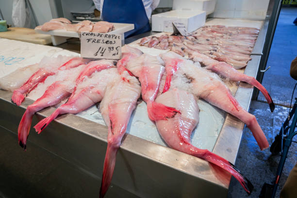 istock Freshly fish at the fish market in Cadiz 665453220