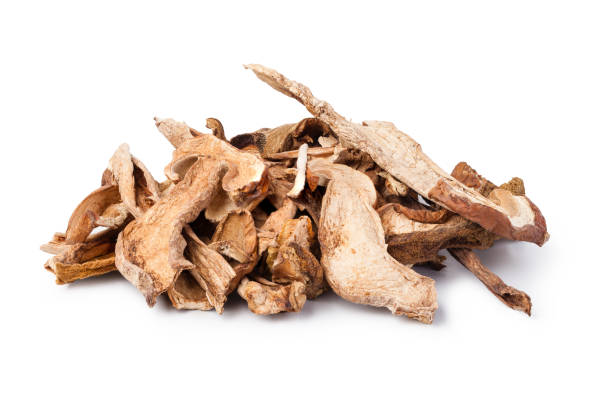 istock Dried white fungus 665466128