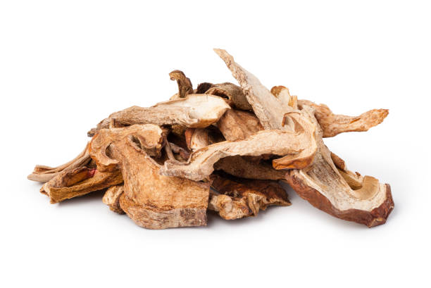 istock Dried white fungus 665466164