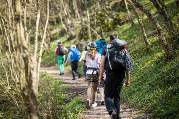 istock Sunny day for hiking in nature 665466604