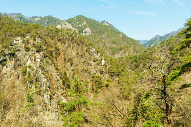 istock Shosenkyo, Yamanashi 665470268