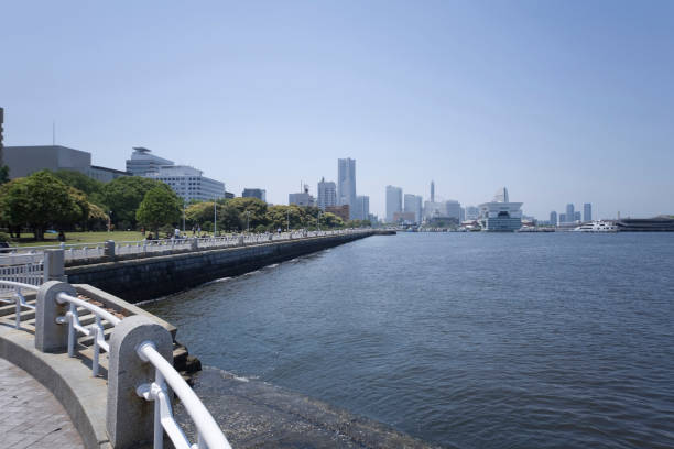 Everyone from the Yamashita Park and minatomirai area