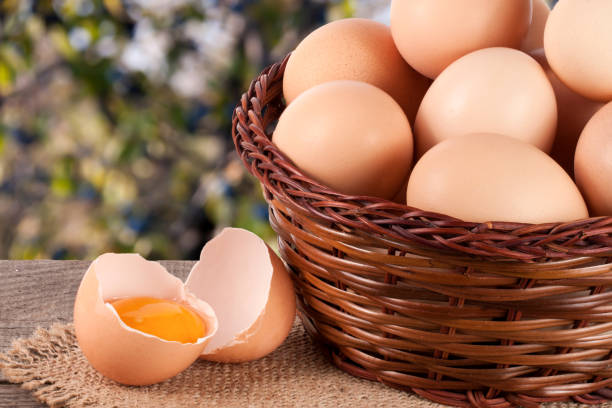 istock eggs in a wicker basket on a wooden board with blurred garden background 665475228