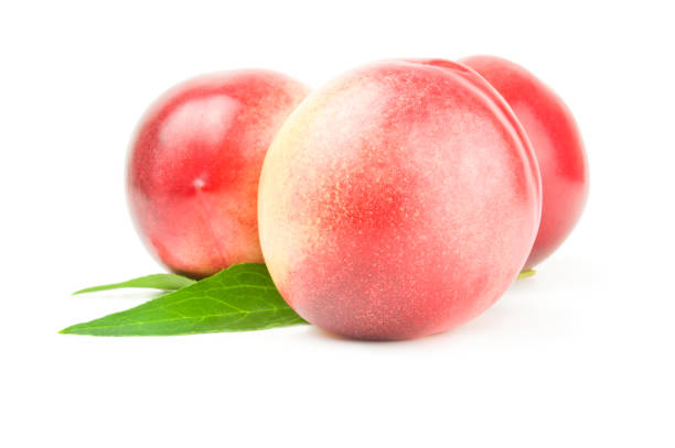 istock Ripe peaches isolated on a white background cutout 665493126