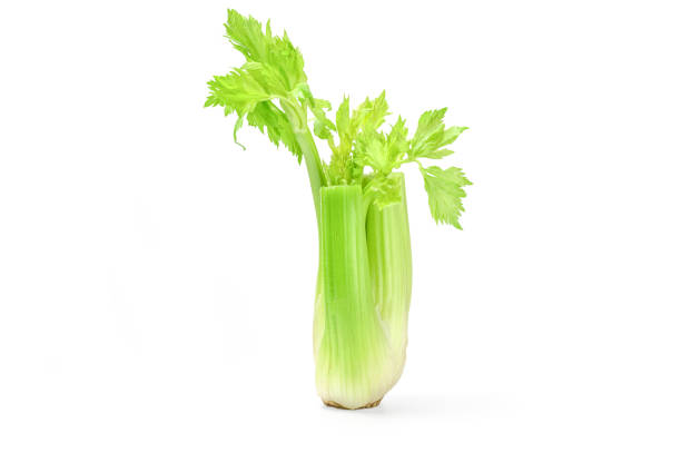 istock Bunch of celery sticks isolated on the white background 665493166