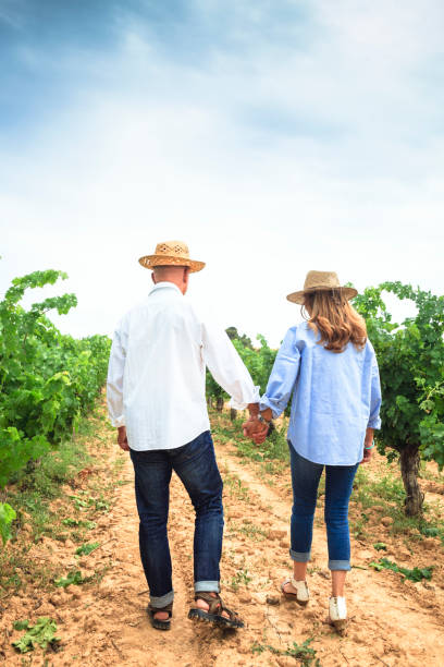 istock Couple in the vineyards 665493716