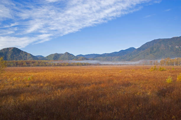istock Autumn senjogahara 665496534